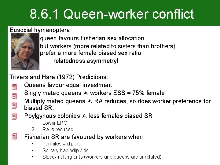 8. 6. 1 Queen-worker conflict Eusocial hymenoptera: queen favours Fisherian sex allocation but workers