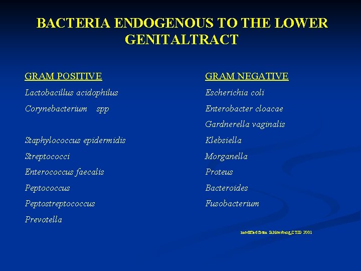 BACTERIA ENDOGENOUS TO THE LOWER GENITALTRACT GRAM POSITIVE GRAM NEGATIVE Lactobacillus acidophilus Escherichia coli