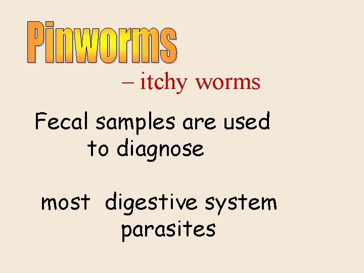 – itchy worms Fecal samples are used to diagnose most digestive system parasites 