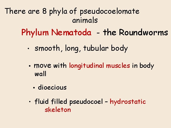 There are 8 phyla of pseudocoelomate animals Phylum Nematoda - the Roundworms • smooth,