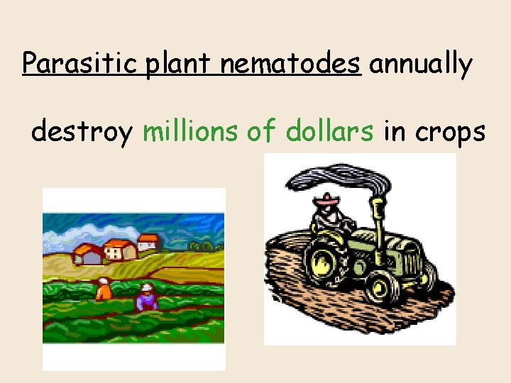 Parasitic plant nematodes annually destroy millions of dollars in crops 