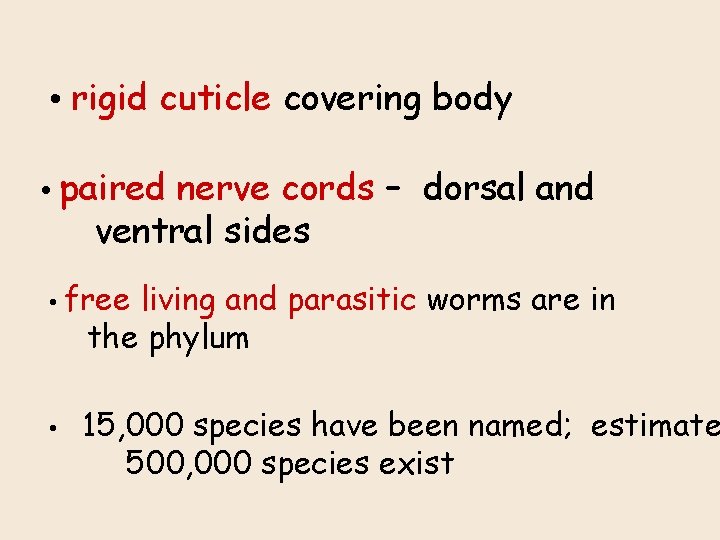  • rigid cuticle covering body • paired nerve cords – dorsal and ventral