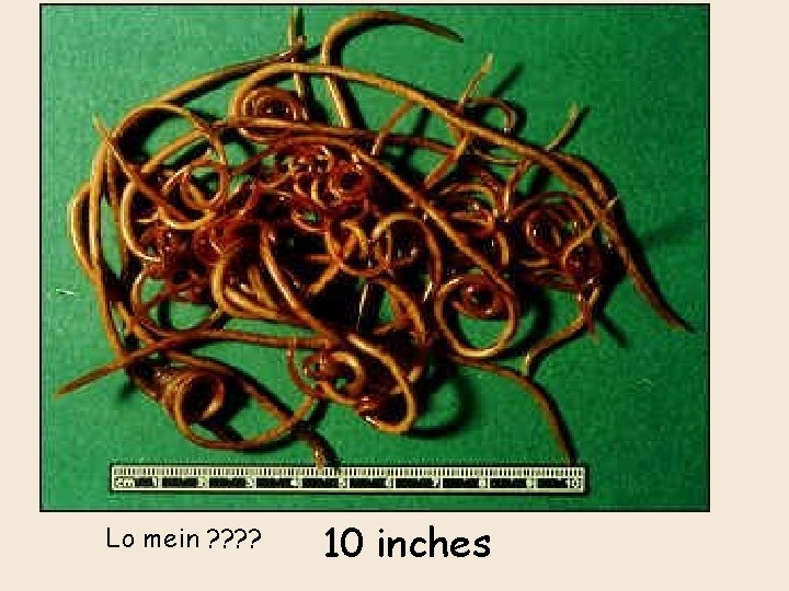 Lo mein ? ? 10 inches 