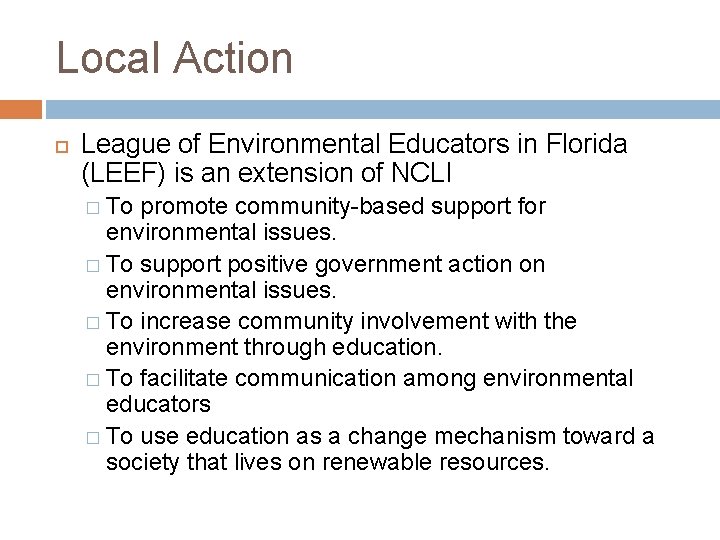 Local Action League of Environmental Educators in Florida (LEEF) is an extension of NCLI