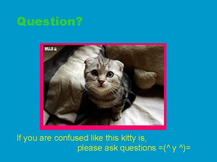 Question? If you are confused like this kitty is, please ask questions =(^ y