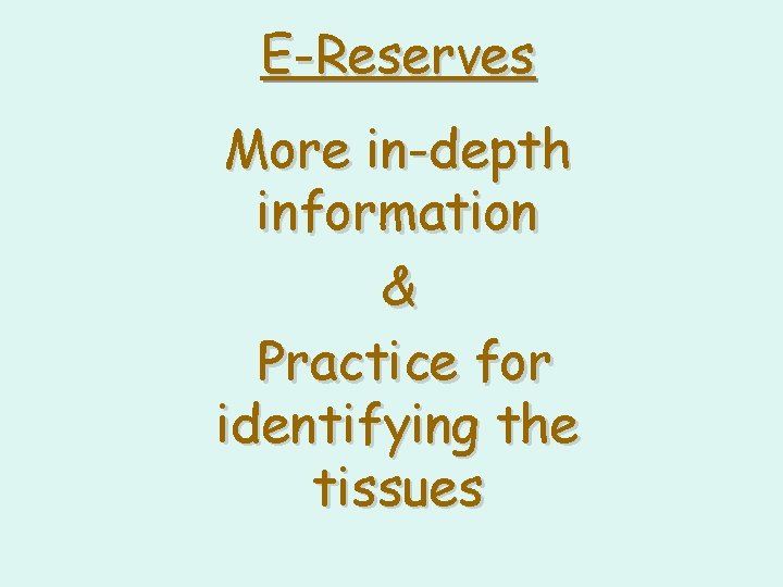 E-Reserves More in-depth information & Practice for identifying the tissues 
