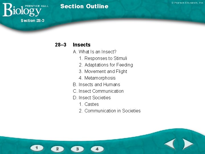 Section Outline Section 28 -3 28– 3 Insects A. What Is an Insect? 1.