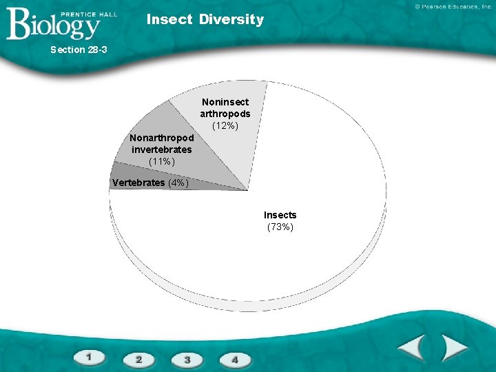 Insect Diversity Section 28 -3 Noninsect arthropods (12%) Nonarthropod invertebrates (11%) Vertebrates (4%) Insects