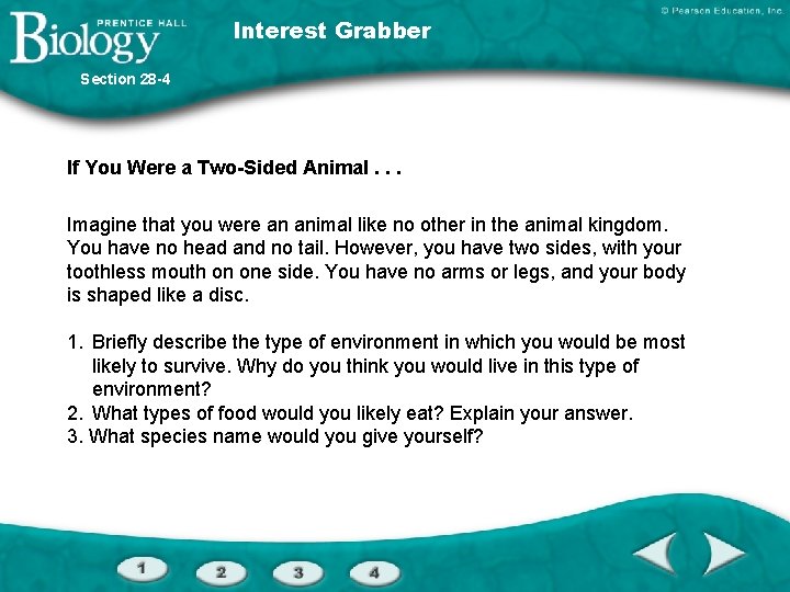 Interest Grabber Section 28 -4 If You Were a Two-Sided Animal. . . Imagine
