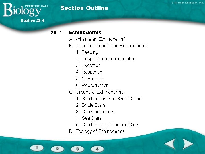 Section Outline Section 28 -4 28– 4 Echinoderms A. What Is an Echinoderm? B.