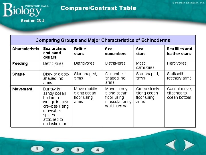 Compare/Contrast Table Section 28 -4 Comparing Groups and Major Characteristics of Echinoderms Characteristic Sea