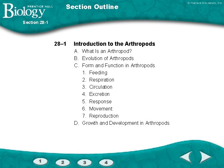 Section Outline Section 28 -1 28– 1 Introduction to the Arthropods A. What Is