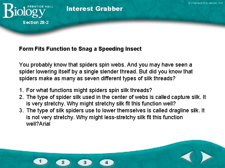 Interest Grabber Section 28 -2 Form Fits Function to Snag a Speeding Insect You