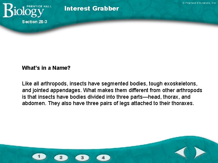 Interest Grabber Section 28 -3 What’s in a Name? Like all arthropods, insects have