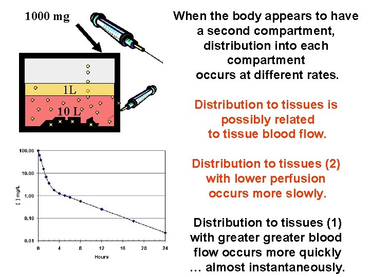 1000 mg When the body appears to have a second compartment, distribution into each