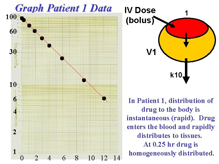 Graph Patient 1 Data 100 IV Dose (bolus) 1 60 V 1 30 k