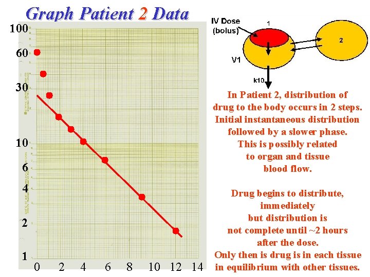 Graph Patient 2 Data 100 60 30 In Patient 2, distribution of drug to