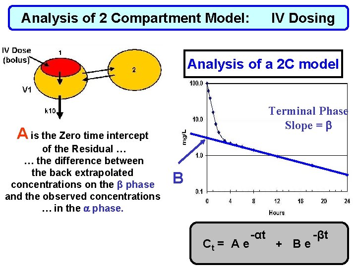 Analysis of 2 Compartment Model: IV Dosing Analysis of a 2 C model Terminal