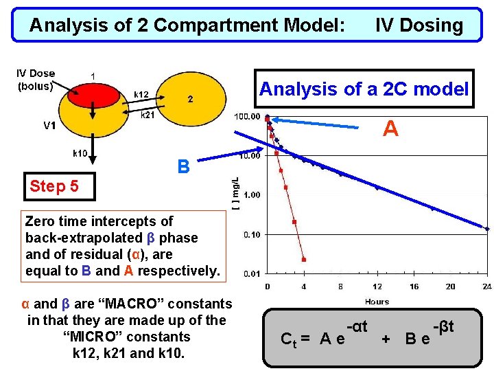 Analysis of 2 Compartment Model: IV Dosing Analysis of a 2 C model A