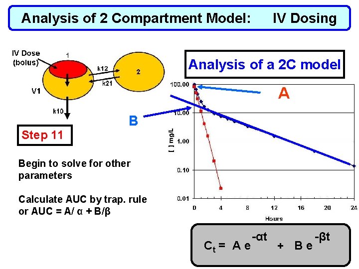 Analysis of 2 Compartment Model: IV Dosing Analysis of a 2 C model A