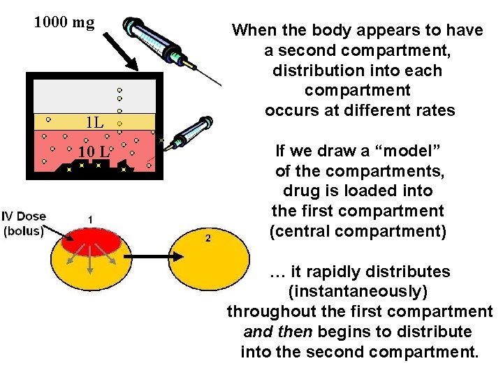 1000 mg 1 L 10 L When the body appears to have a second