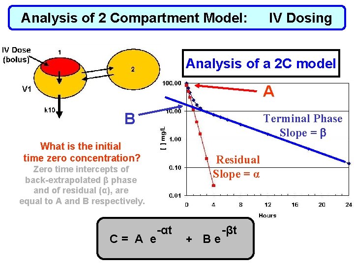 Analysis of 2 Compartment Model: IV Dosing Analysis of a 2 C model A