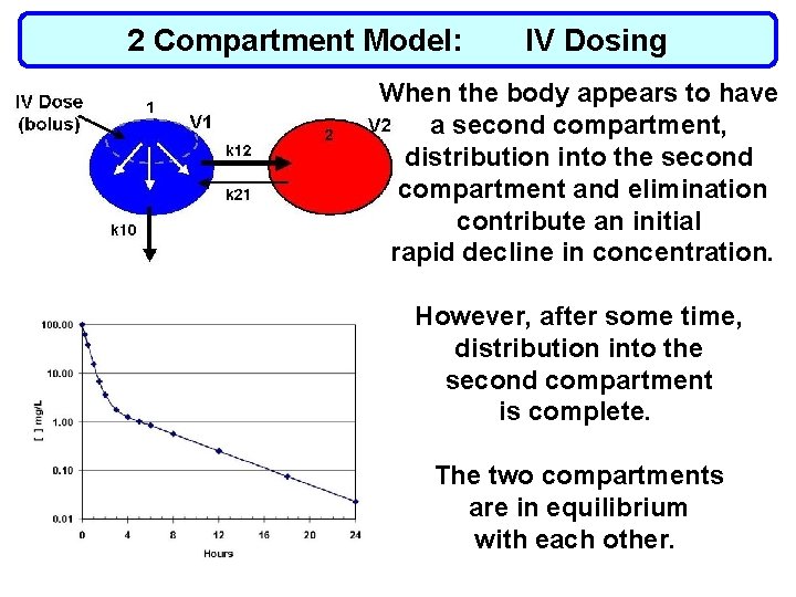 2 Compartment Model: IV Dosing When the body appears to have a second compartment,