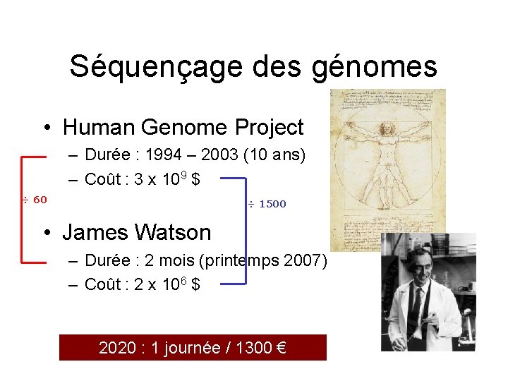 Séquençage des génomes • Human Genome Project – Durée : 1994 – 2003 (10