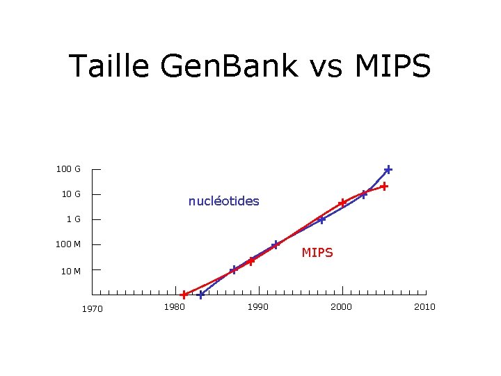 Taille Gen. Bank vs MIPS 100 G 10 G nucléotides 1 G 100 M