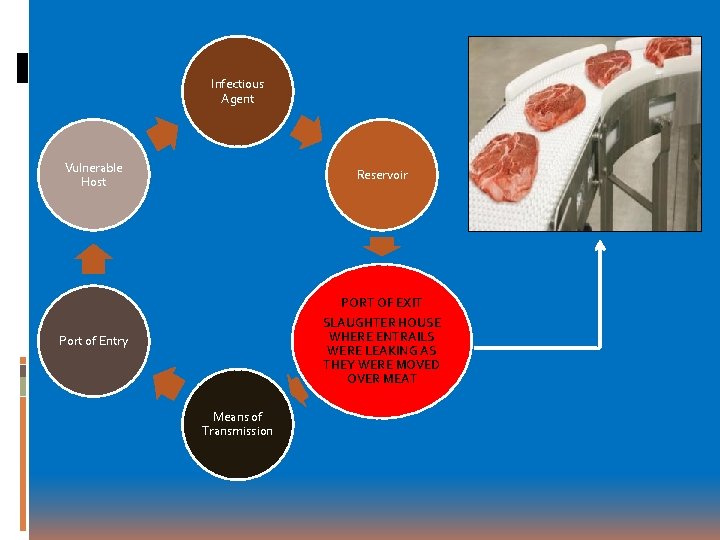 Infectious Agent Vulnerable Host Reservoir Port of Entry PORT OF EXIT SLAUGHTER HOUSE WHERE