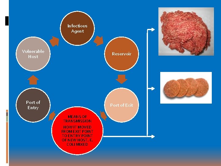 Infectious Agent Vulnerable Host Reservoir Port of Entry Port of Exit MEANS OF TRANSMISSION