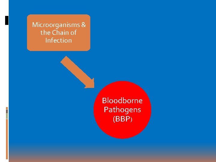 Microorganisms & the Chain of Infection Bloodborne Pathogens (BBP) 