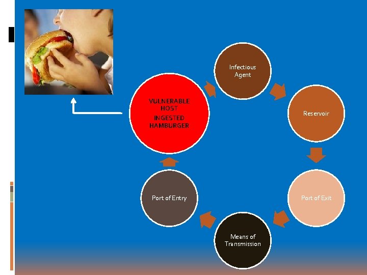 Infectious Agent VULNERABLE HOST Reservoir INGESTED HAMBURGER Port of Entry Port of Exit Means