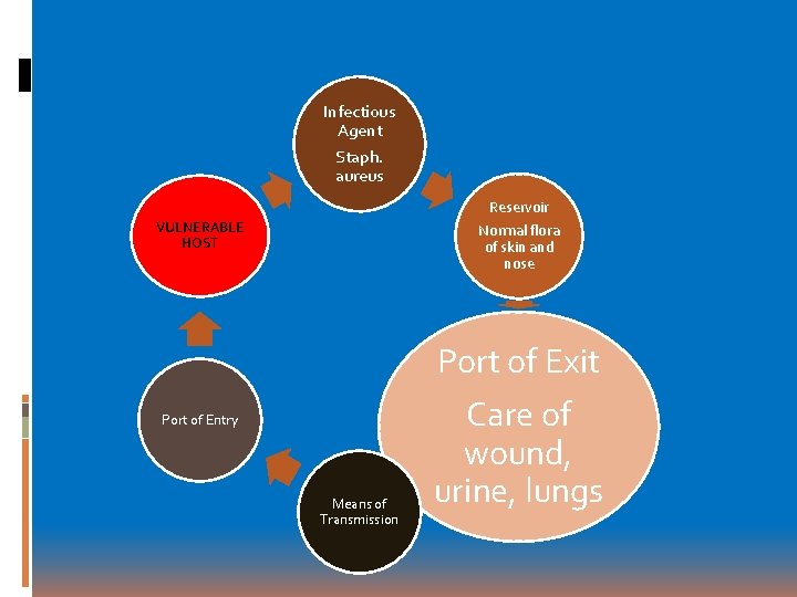 Infectious Agent Staph. aureus Reservoir Normal flora of skin and nose VULNERABLE HOST Port Infectious Agent Staph. aureus Reservoir Normal flora of skin and nose VULNERABLE HOST Port