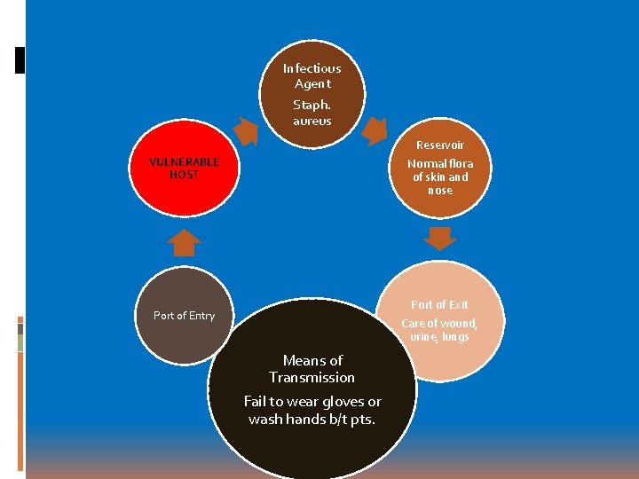 Infectious Agent Staph. aureus VULNERABLE HOST Reservoir Normal flora of skin and nose Port Infectious Agent Staph. aureus VULNERABLE HOST Reservoir Normal flora of skin and nose Port