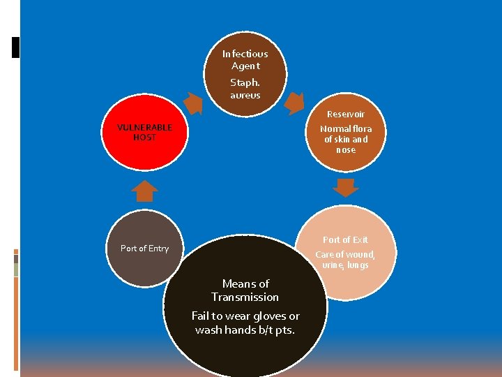 Infectious Agent Staph. aureus VULNERABLE HOST Reservoir Normal flora of skin and nose Port