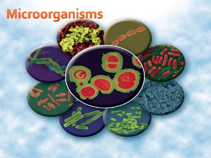 Microorganisms 