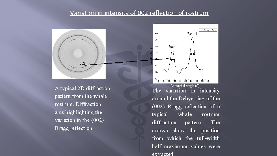 Variation in intensity of 002 reflection of rostrum 002 A typical 2 D diffraction