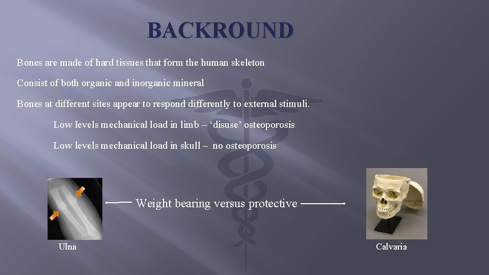 BACKROUND Bones are made of hard tissues that form the human skeleton Consist of