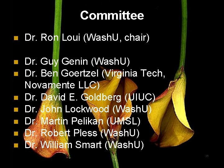 Committee n Dr. Ron Loui (Wash. U, chair) n Dr. Guy Genin (Wash. U)