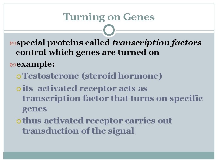 Turning on Genes special proteins called transcription factors control which genes are turned on