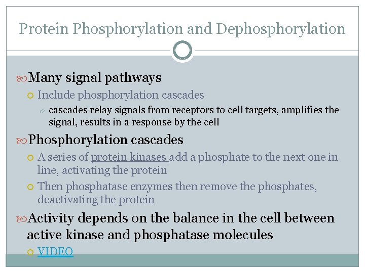 Protein Phosphorylation and Dephosphorylation Many signal pathways Include phosphorylation cascades relay signals from receptors