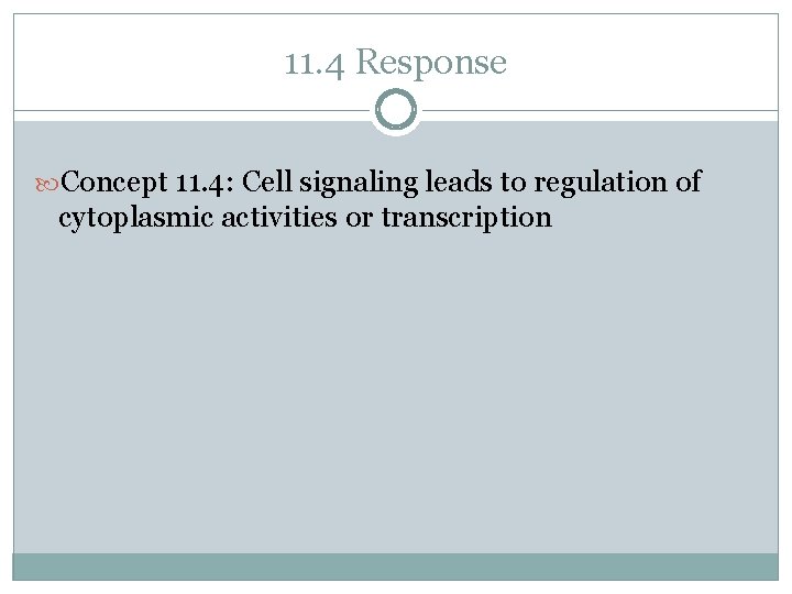 11. 4 Response Concept 11. 4: Cell signaling leads to regulation of cytoplasmic activities