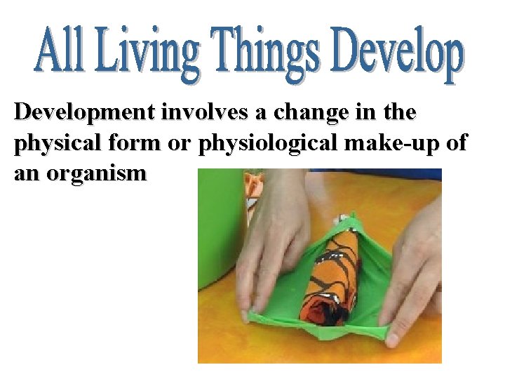 Development involves a change in the physical form or physiological make-up of an organism
