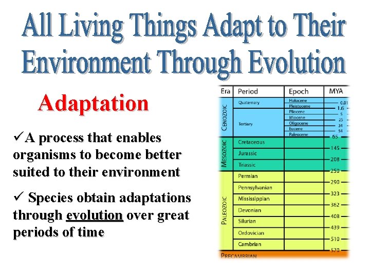 Adaptation üA process that enables organisms to become better suited to their environment ü