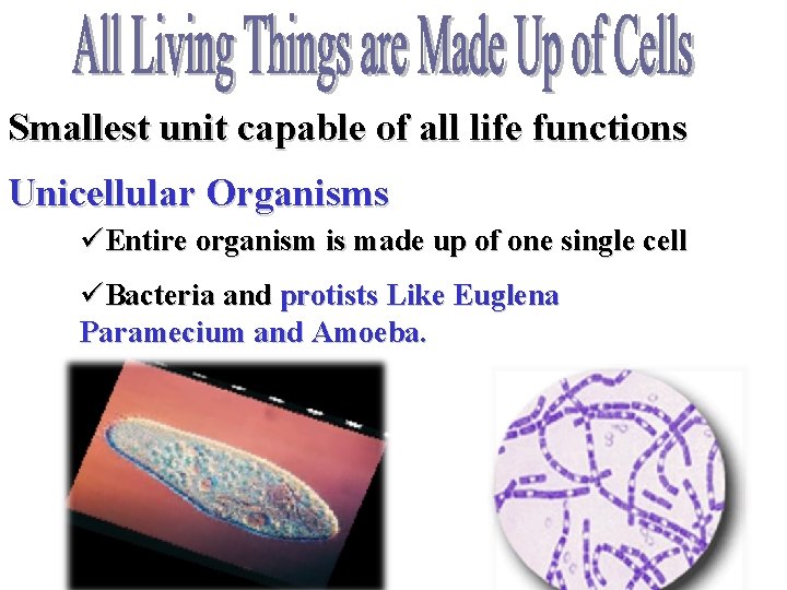Smallest unit capable of all life functions Unicellular Organisms üEntire organism is made up
