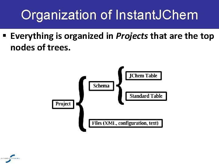 Organization of Instant. JChem § Everything is organized in Projects that are the top