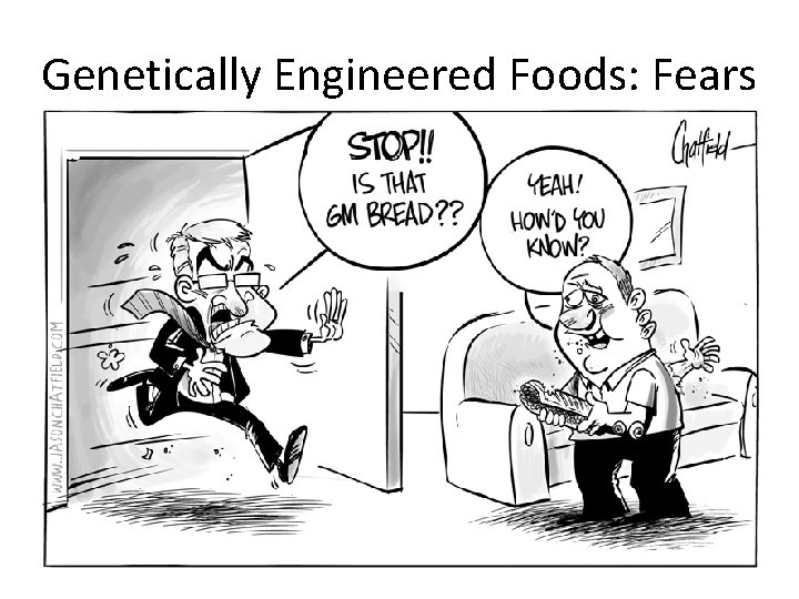 Genetically Engineered Foods: Fears 