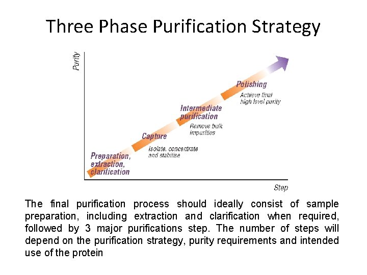 Three Phase Purification Strategy The final purification process should ideally consist of sample preparation,