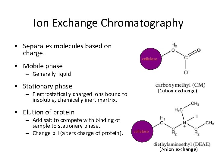 Ion Exchange Chromatography • Separates molecules based on charge. • Mobile phase cellulose –